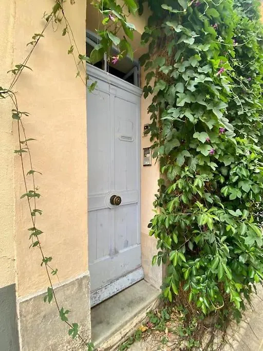 Apartment Click! Casa Lamartine Fabulous Ideal Location Walk To All!!!